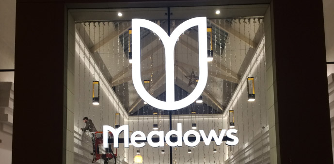 Fascia Sign Design